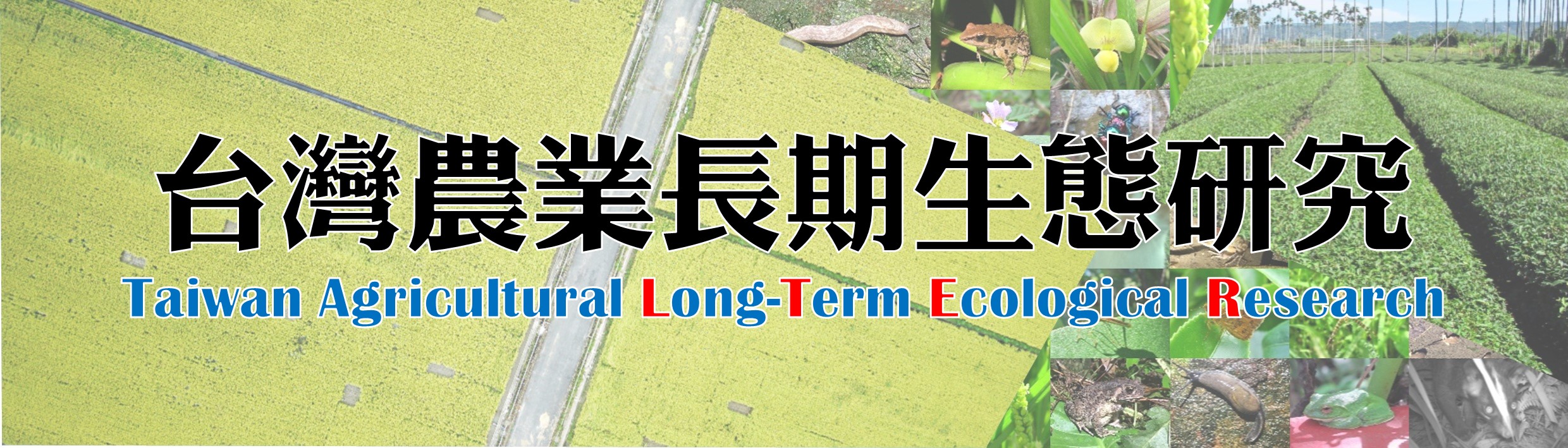 台灣農業長期生態研究(另開新視窗)