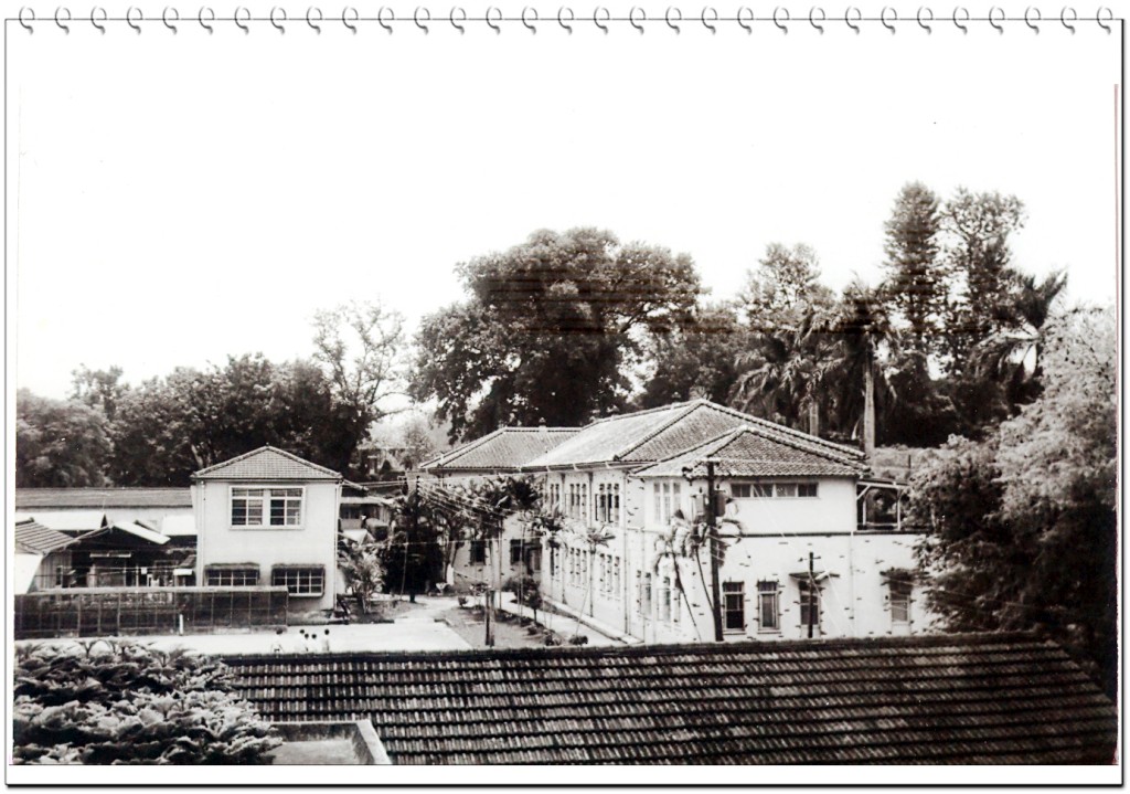 行政院農業委員會農業試驗所嘉義農業試驗分所 沿革