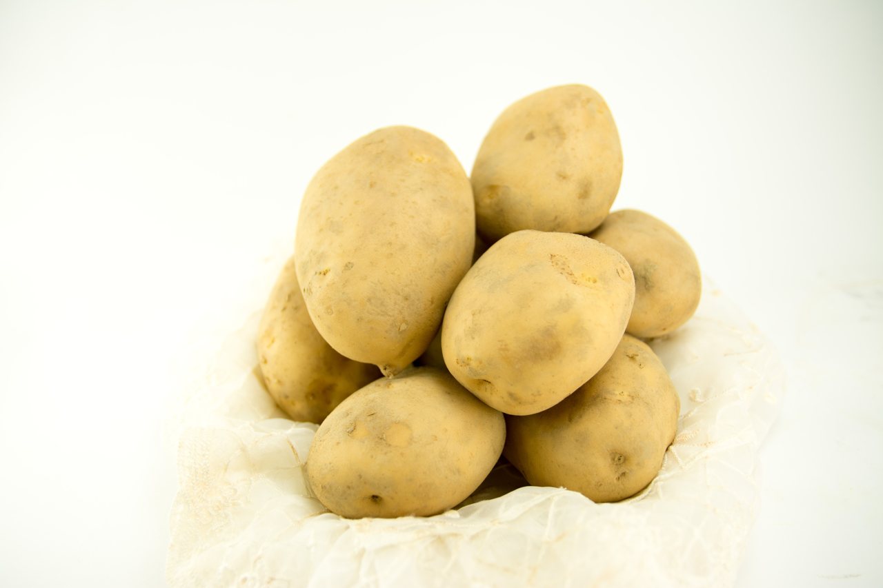 馬鈴薯新品種-台農4號