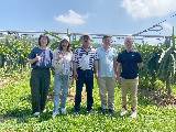 114年04月18及22日在埔鹽及外埔舉辦「紅龍果栽培管理講習會」相片