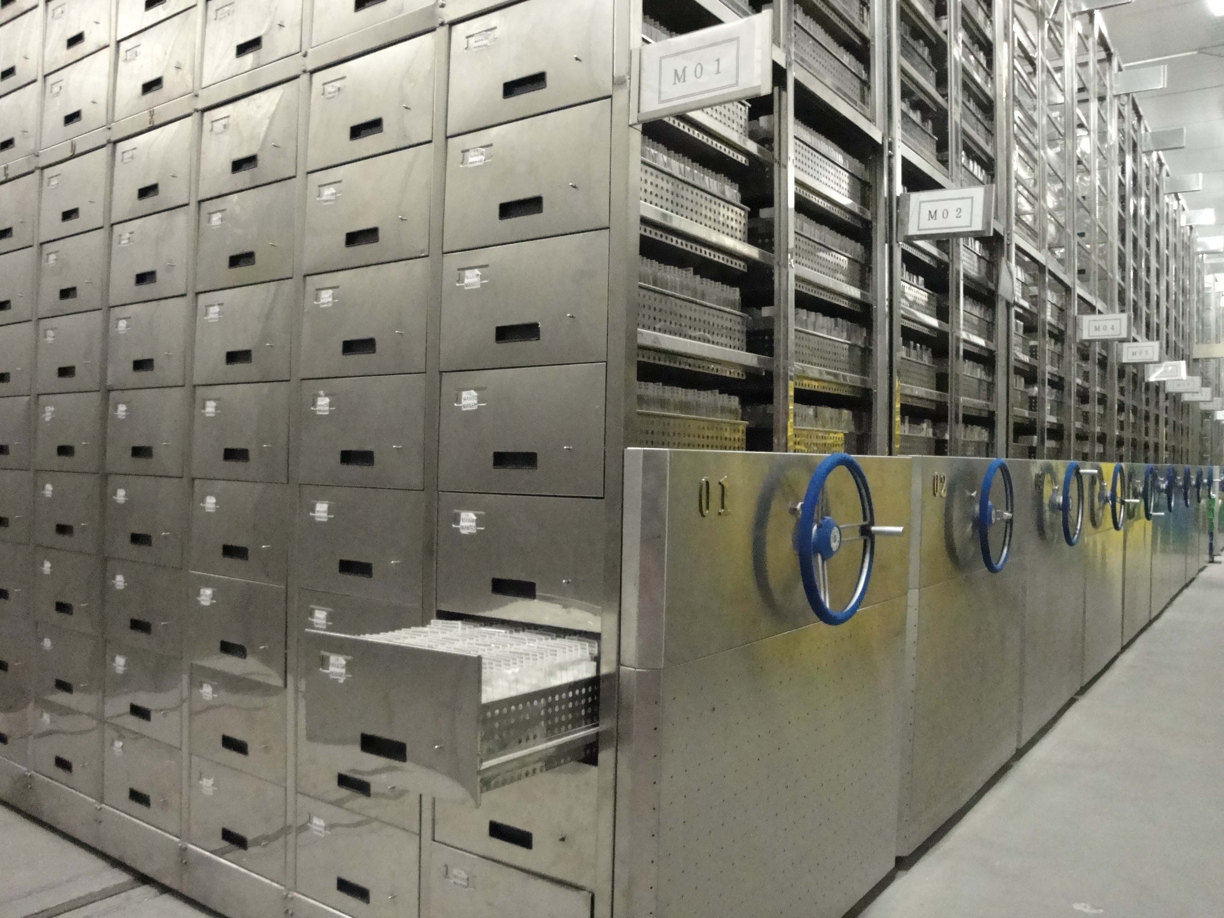 行政院農業委員會農業試驗所 生物技術組 作物種原組 業務專區 作物種原組 遺傳資源研究室