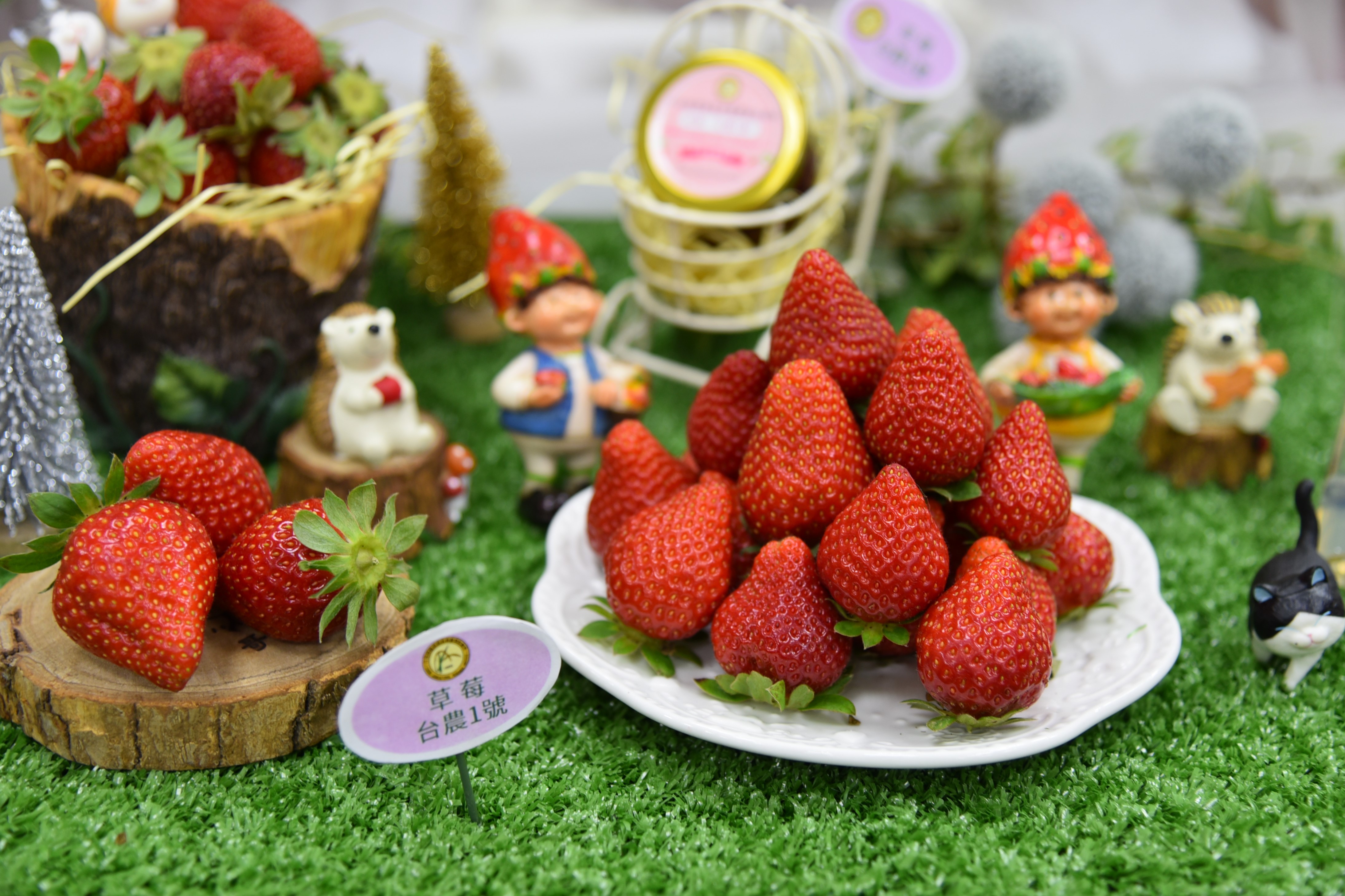 草莓「台農1號」果皮深紅豔麗