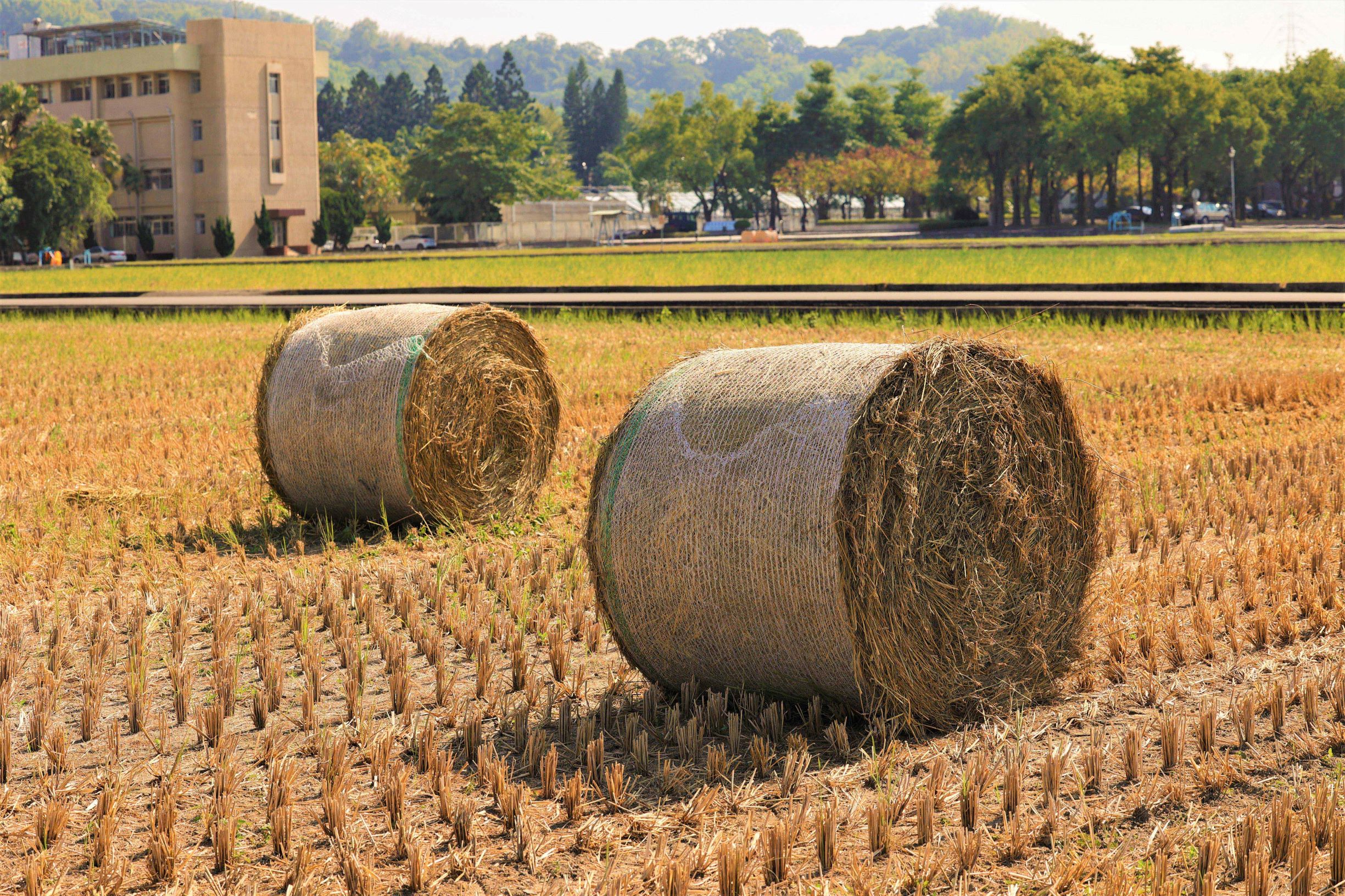 稻稈揉漿物技術加值應用 玩出新創意