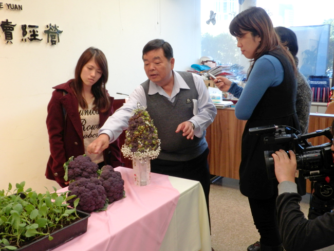 2013/12/03 營養美味新選擇—紫色花椰菜台農1號記者會