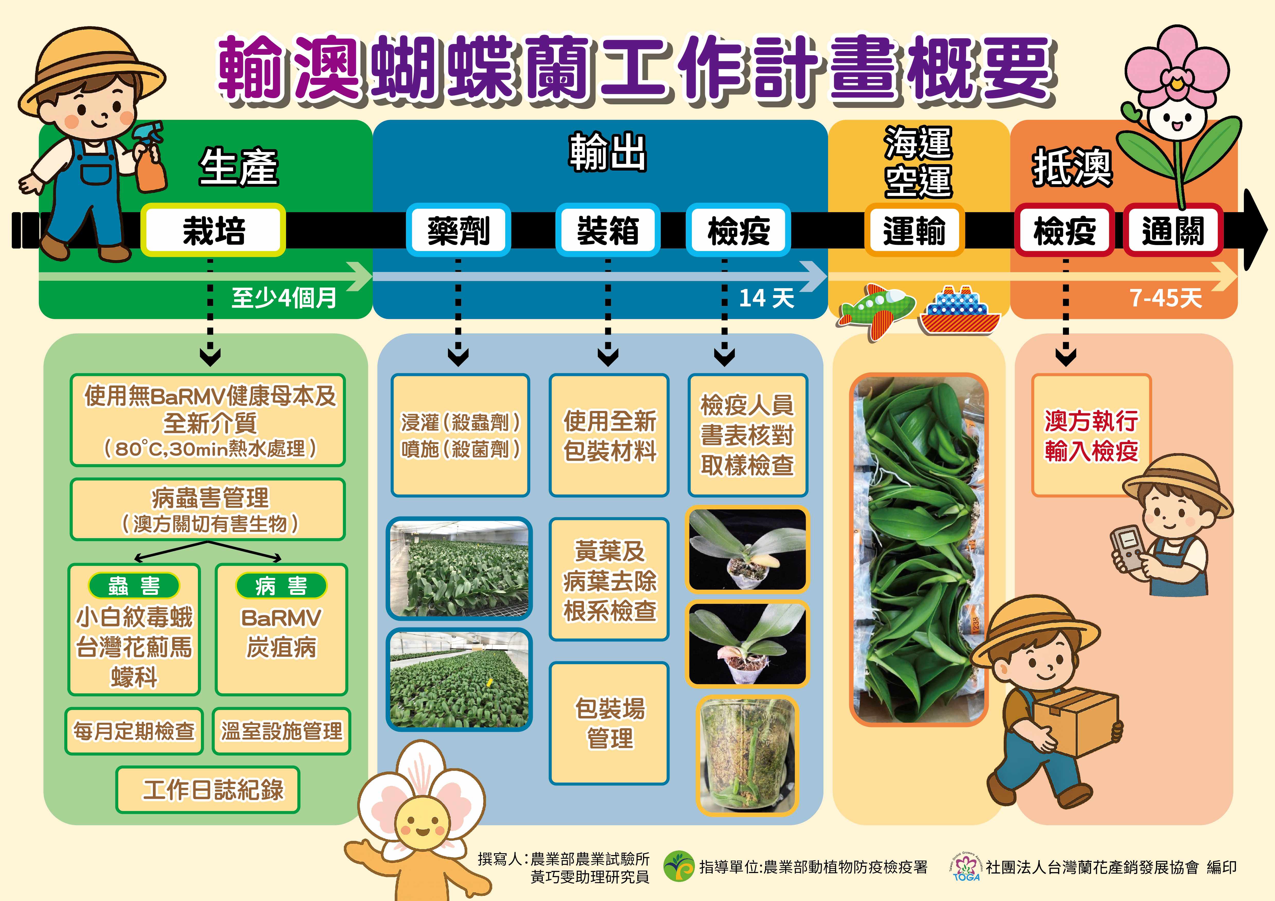 新聞圖片2_輸澳蝴蝶蘭工作計畫流程概要rev.jpg