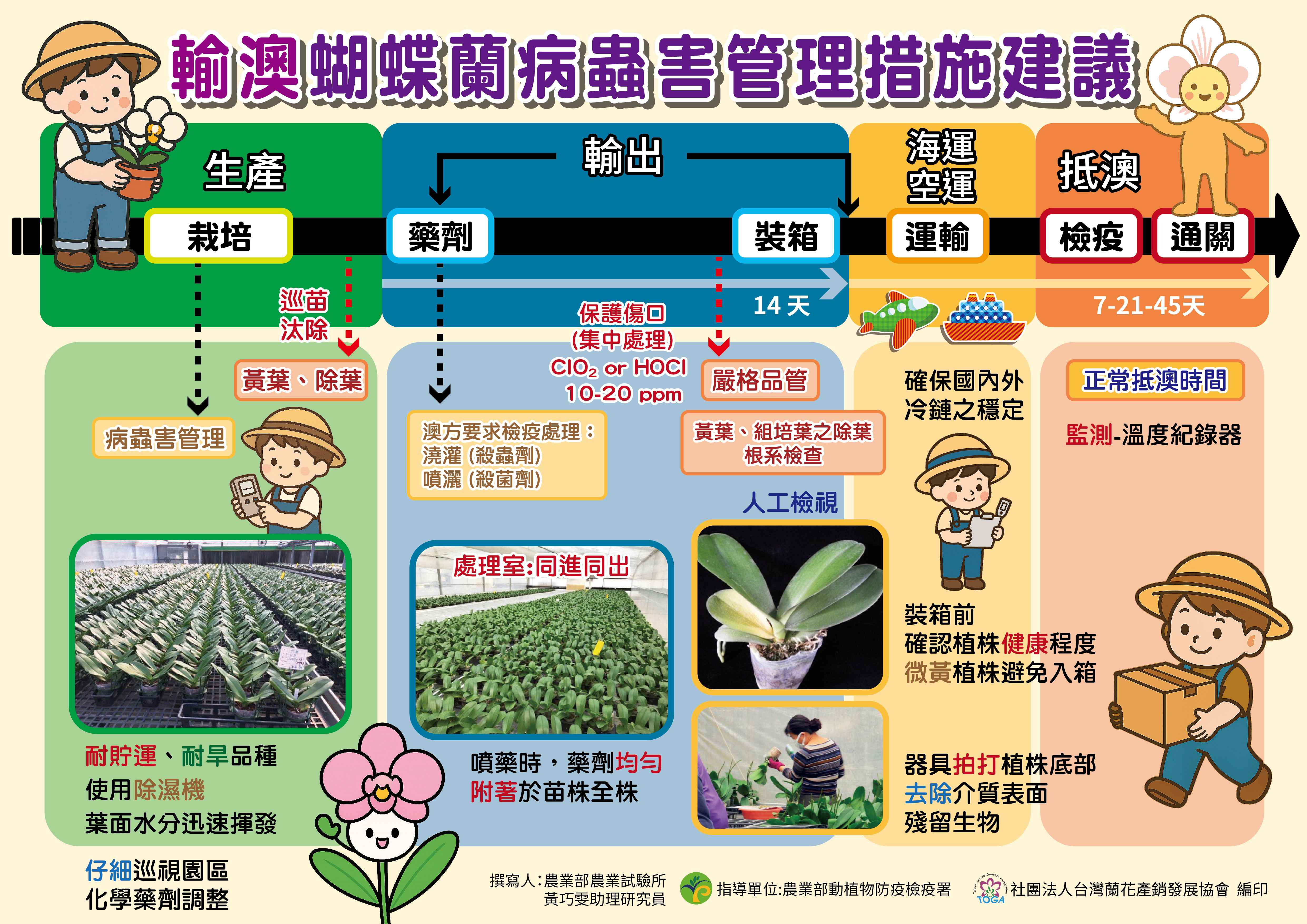 新聞圖片3_輸澳蝴蝶蘭病蟲害管理措施建議rev.jpg