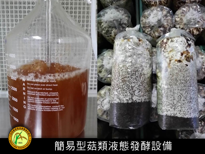 鴻喜菇液體菌種簡易生產技術