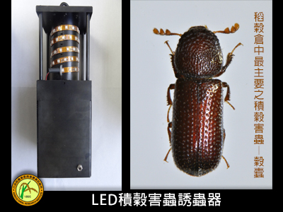 LED積穀害蟲誘蟲器
