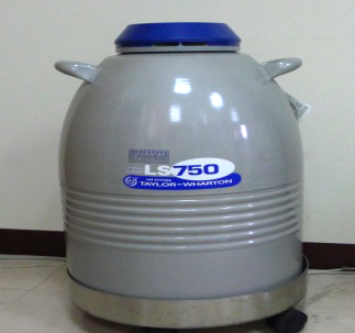 圖2. 超低溫保存所使用液態氮桶。