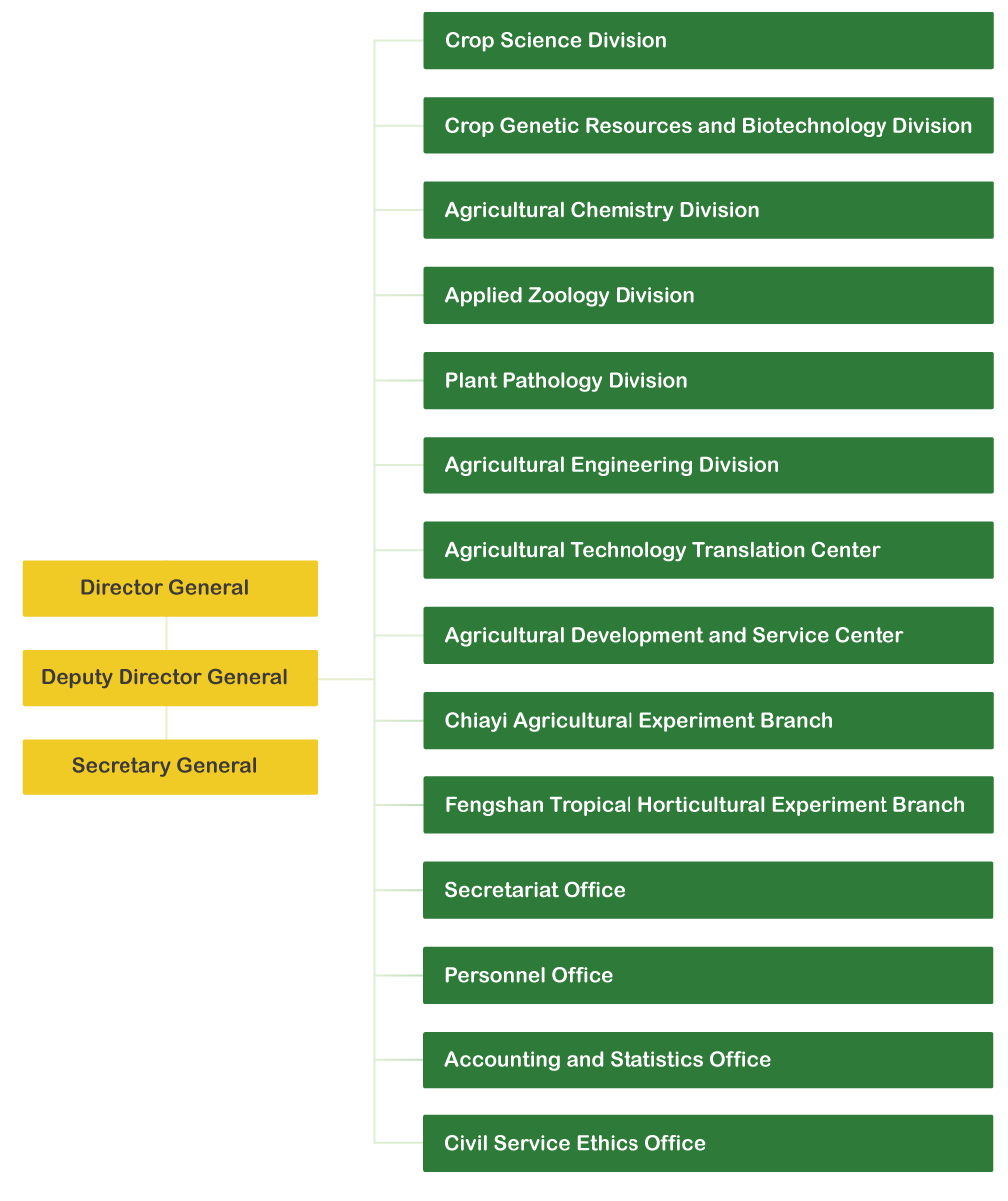 Organizational Structure