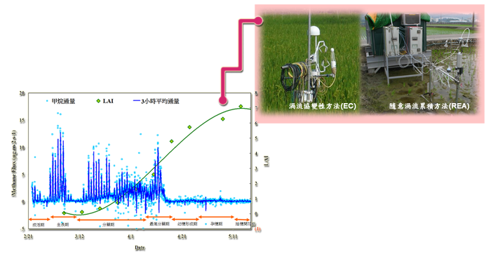 Rice Growing Period and Methane Flux