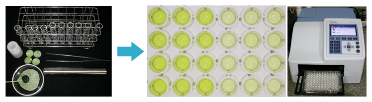 Procedure for detection of pyrethroid insecticides: a). sample extraction and b). ELISA test for pyrethroid insecticides.