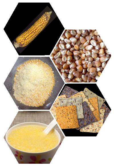 Whole grain flour of high amylose content Corn
