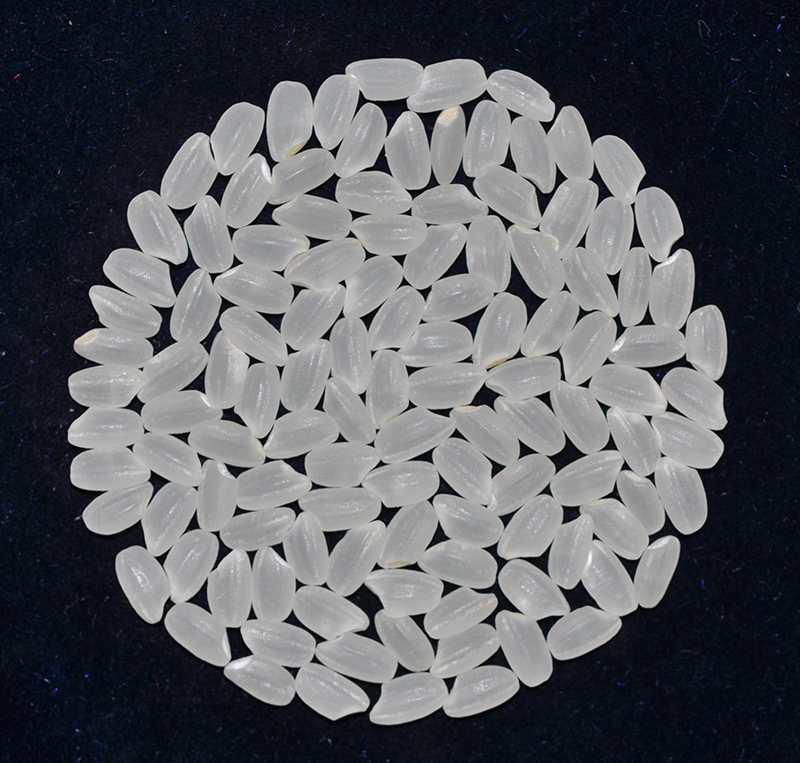 ‘Tainung No. 85’