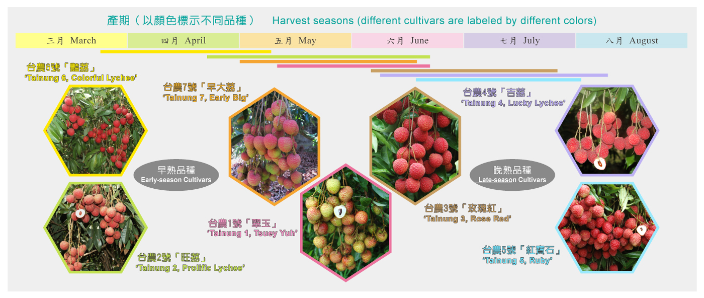 Harvest seasons (different cultivars are labeled by different colors)