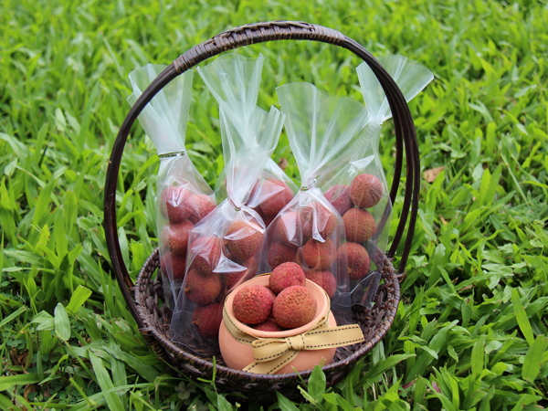 The in-shell dried lychees retain the reddish rind color, taste and aroma of the fresh fruit, and have improved economic value.