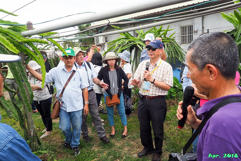 A field Trip to dragon fruit orchards at Waipu, Taichung was done on 25 April.