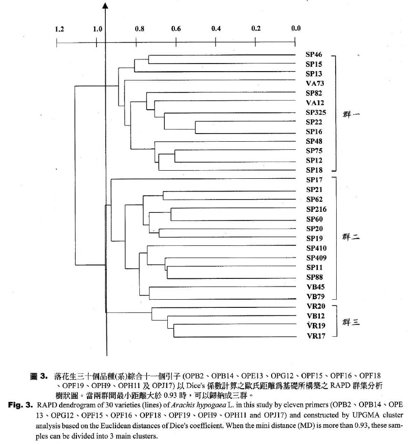RAPD dendrogram of 30 varieties (lines) of Arachis hypogaea L. in this study by eleven primers (OPB2, OPB14, OPE13, OPG12, OPF15, OPF16, OPF18, OPF19, OPH9, OPH11 and OPJ17) and constructed by UPGMA cluster analysis based on the Euclidean distances of Dice's coefficient. When the mini distance (MD) is more than 0.93, these samples can be divided into 3 main clusters.