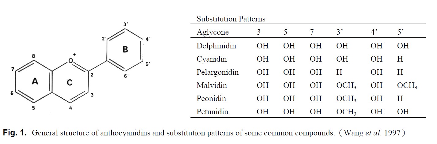 General structure of anthocyanidins and subsitution patterns of some common compounds (Wang et al. 1997)