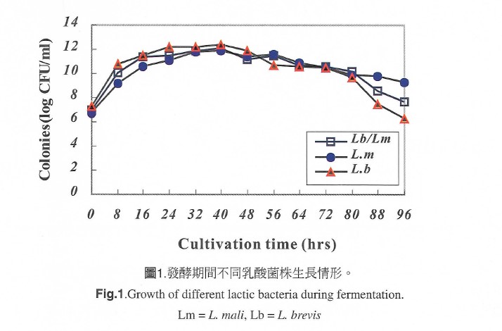 Growth of different lactic bacteria during fermentation. Lm=L. mali, Lb=L. brevis