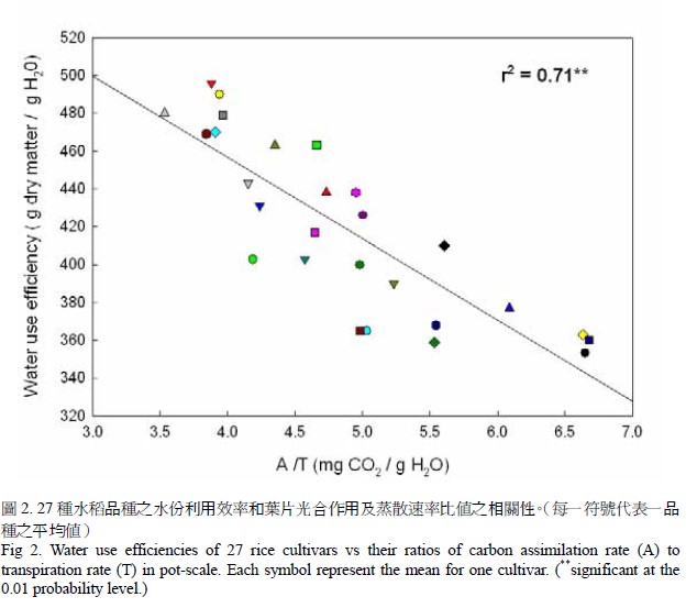 Water use efficiencies of 27 rice cultivars vs their ratios of carbon assimilation rate (A) to transpiration rate (T) in pot-scale. Each symbol represent the mean for one cultivar.(**singnificant at the 0.01 probability level.)