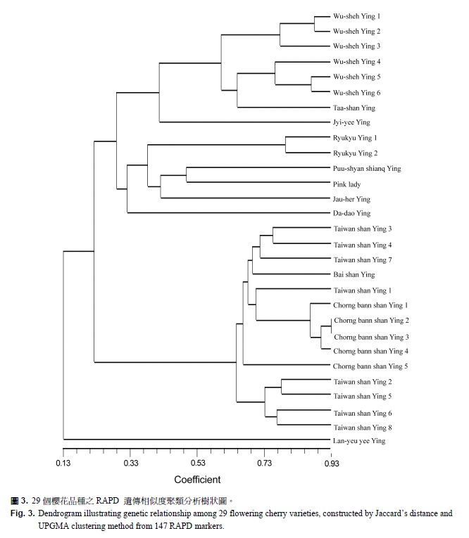 Dendrogram illustrating genetic relationship among 29 flowering cherry varieities , constructed by Jaccard's distance and UPGMA clustering method from 147 RAPD markers