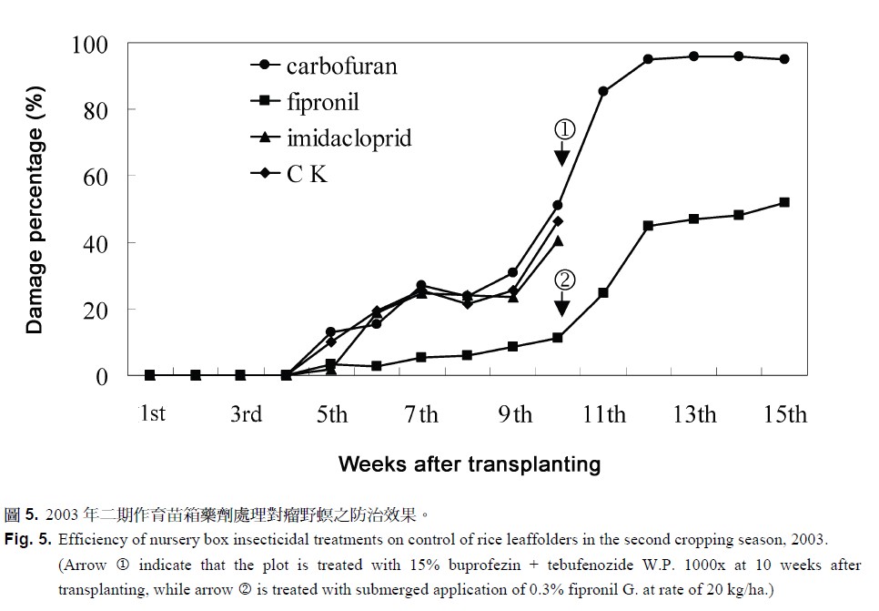 Efficiency of nursery box insecticidal treatments on control of rice leaffolders in the second cropping season, 2003. 