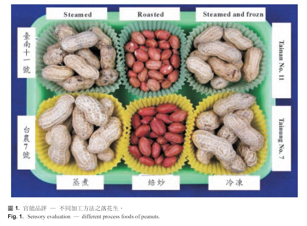 Sensory evaluation — different process foods of peanuts