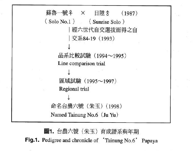 Pedigree and chronicle of 'Tainung No.6' Papaya