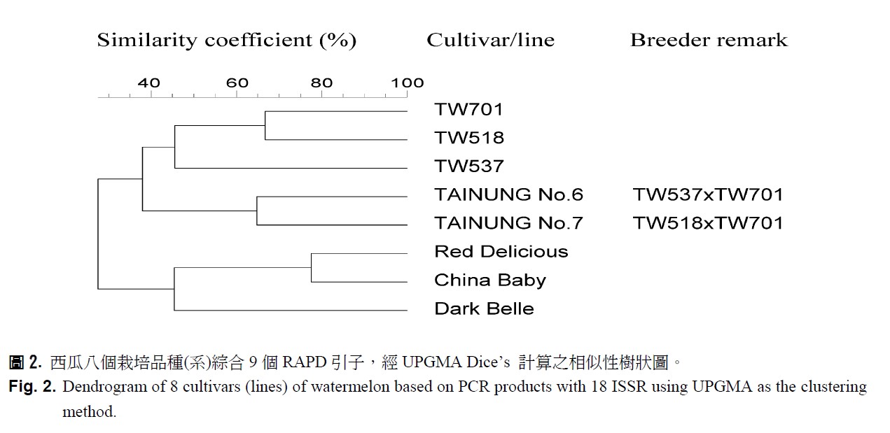 Dendrogram of 8 cultivars (lines) of watermelon based on PCR products with 18 ISSR using UPGMA as the clustering method