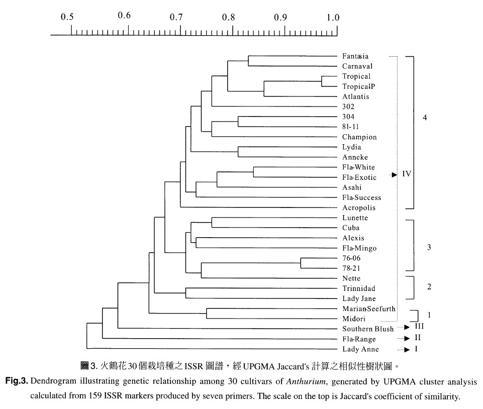 Dendrogram illustrating genetic relationship among 30 cultivars of Anthurium, generated by UPGMA cluster analysis calculated from 159 ISSR markers produced by seven primers. The scal on the top is Jaccard's coefficient of similarity