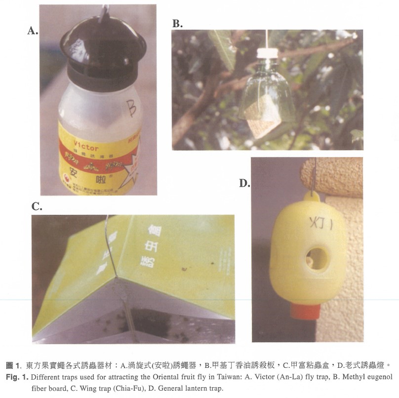 Different traps used for attracting the Oriental fruit fly in Taiwan: A. Victor(An-La) fly trap, B. Methyl eugenol fiber board, C.Wing trap (Chia-Fu), D. General lantern trap