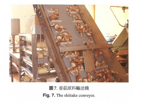 The shiitake conveyor