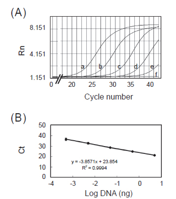 以qPCR 增幅Foc 全DNA 進行靈敏度試驗。(A) 由qPCR 增幅曲線評估Foc DNA 濃度之靈敏度。a：5 ng，b：5 × 10<sup>-1</sup> ng，c：5 × 10<sup>-2</sup> ng，d：5 × 10<sup>-3</sup> ng，e：5 × 10<sup>-4</sup> ng，f：5 × 10<sup>-5</sup> ng。Rn：螢光訊號。(B)由Ct 值與Foc 對應log DNA 濃度得到之標準曲線。