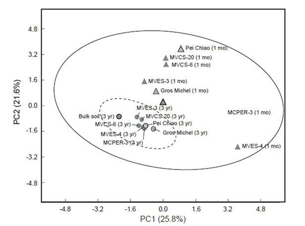Principle component analysis of EcoPlate<sup>TM</sup> carbon substrates utilized by microflora in rhizosphere and bulk soils of different banana lines. Scores of each sample for the first and second PCs were plotted. Symbol type indicates different rhizosphere soil sampling times. The soil samples were collected from the rhizosphere of each banana lines at 1 mo (triangle symbol) and 3 yr (circle symbol) after transplanting. Bulk soil samples were collected outside the rhizosphere of banana plants. The solid and dashed ellipses describe 95% confidence region of 1 mo and 3 yr samples respectively.