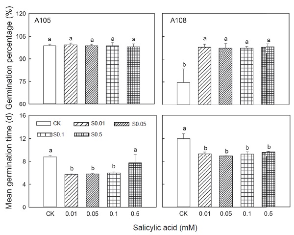 Fig. 1.　Effects of osmotic treatments with different of concentrations of salicylic acid at 0.01, 0.05, 0.1 and 0.5 mM on seed germination percentage and mean germination time of rootstock eggplant cultivars ‘A105’ and ‘A108’. CK, control check, salicylic acid concentrations, S0.01–0.01 mM, S0.05–0.05 mM, S0.1–0.1 mM, and S0.5–0.5 mM. When there were signifi cant differences in one-way analysis of variance (ANOVA) of different concentrations of SA solutions, the least signifi cant difference (LSD) test between SA treatments was then carried out.