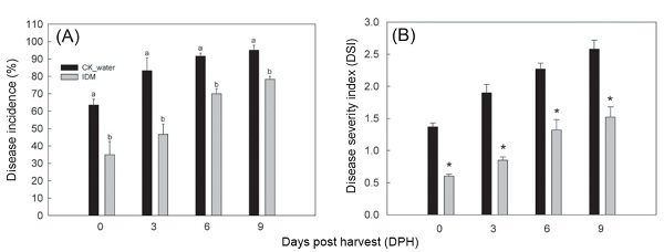 Fig. 5. Evaluating the control efficacy of integrated disease management (IDM) on the disease incidence of guava fruits and black spot severity in guava fruits detected at 0, 3, 6, and 9 DPH during the summer and autumn seasons, with water treatment (CK) serving as the control. (A) Bars represent mean disease incidence within each treatment, and error bars indicate standard error. Means within each observation day followed by different letters indicate significant differences according to the Student’s <i>t</i>-test (<i>P</i> < 0.05). (B) Bars represent the mean severity of black spot disease for each treatment, with error bars indicating the standard error. Data were analyzed using the non-parametric Kruskal-Wallis test, multiple comparisons were conducted using Dunn’s test, with an asterisk (*) indicating significant differences at the 5% significance level.