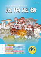 第二期 (86期) ／  100年06月出版