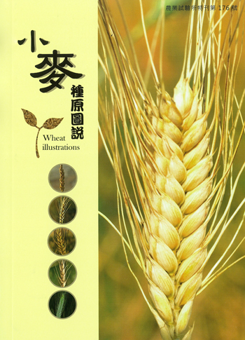 第176號　小麥種原圖說 (2013年)